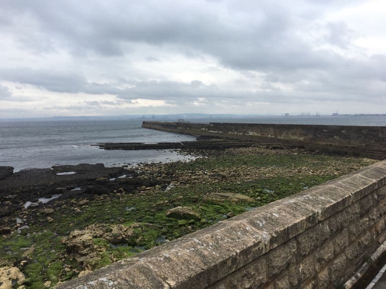 Seaside Run βοΈπ¨